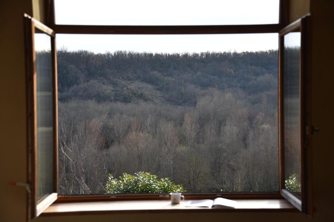 Les Collines Du Quercy Blanc Villa Castelnau-Montratier Eksteriør bilde